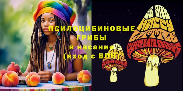 тгк Медногорск