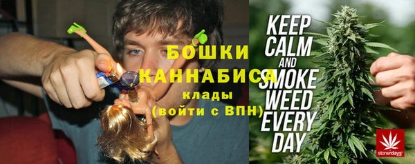 прущие крисы Мегион