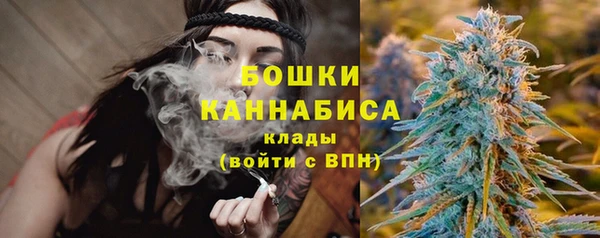 прущие крисы Мегион